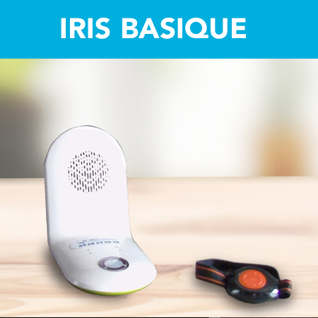 Iris Basique